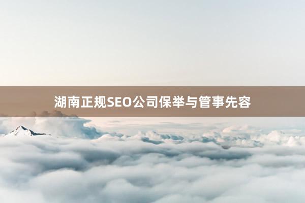 湖南正规SEO公司保举与管事先容