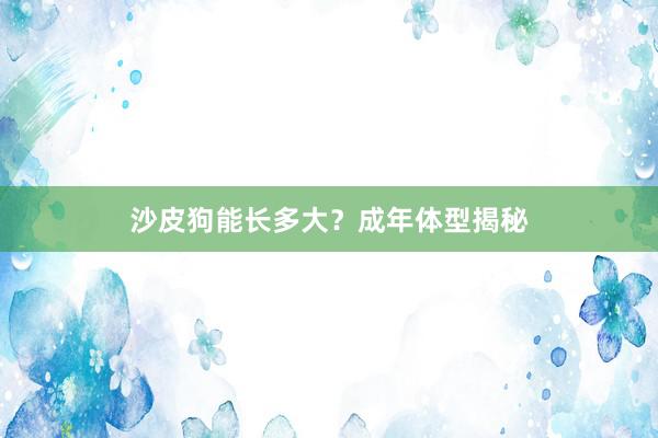沙皮狗能长多大？成年体型揭秘