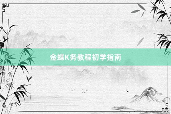 金蝶K务教程初学指南